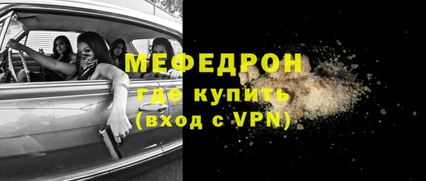 сатива Няндома