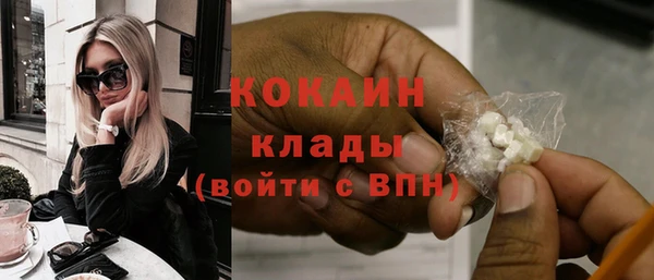 сатива Няндома