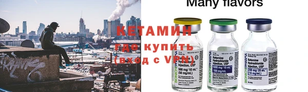 сатива Няндома