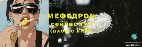 сатива Няндома