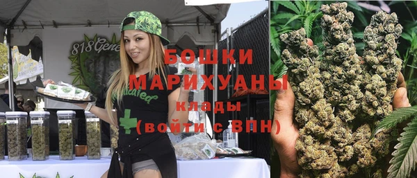сатива Няндома
