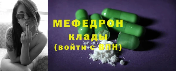 сатива Няндома