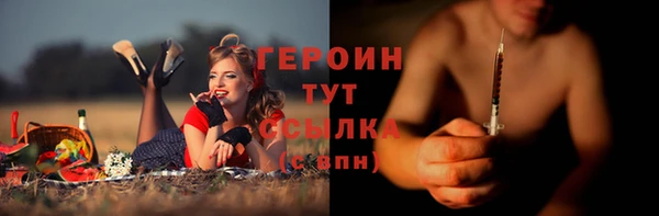 сатива Няндома