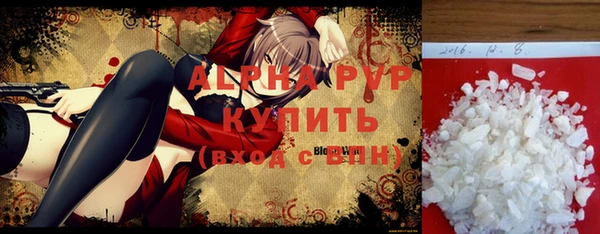 сатива Няндома