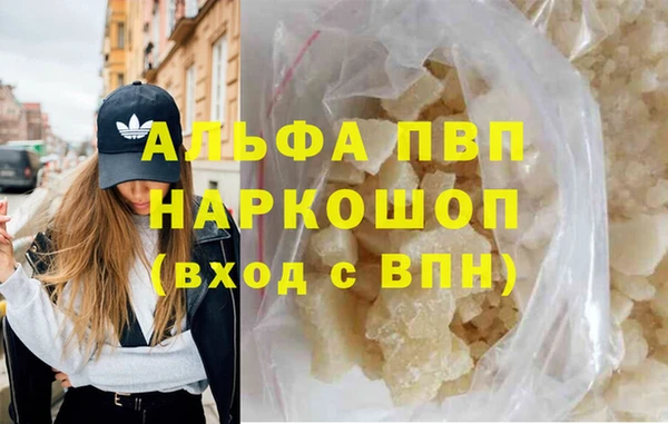 сатива Няндома