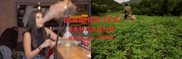 сатива Няндома
