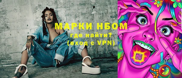 сатива Няндома
