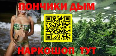 МДПВ Бийск