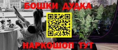МДПВ Бийск