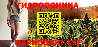 МДПВ Бийск
