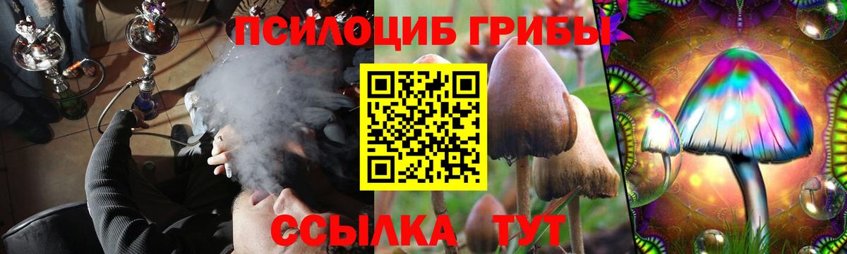 Бугуруслан  Псилоцибиновые грибы Psilocybe  Вход с VPN 